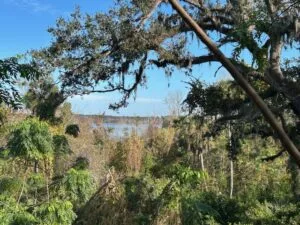 21.5 Acres in Lake County on Lake Apopka with direct access to Apopka Springs.