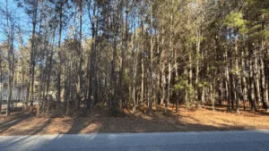 1 Acre for Sale in Timmonsville SC