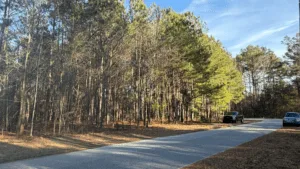 1 Acre for Sale in Timmonsville SC
