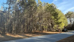 1 Acre for Sale in Timmonsville SC