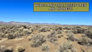 Buy Your Own Affordable 2.07 Acre Elko Land for Just $199/Down