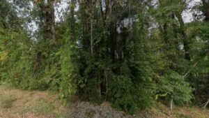 2 Lots in 1 | 1 Acre Total with Road Frontage in Lancaster SC