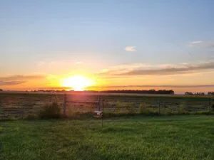 9.1 Acres 3 bedroom 2 bath house with new upgraded downstairs peaceful and quiet