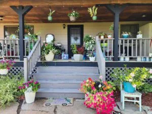 9.1 Acres 3 bedroom 2 bath house with new upgraded downstairs peaceful and quiet