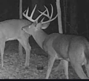 173± Acres of Premier Tennessee Countryside – Private, Productive, and Picturesque