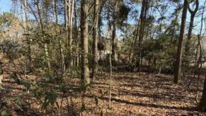 Land for Sale in Yemassee SC | 0.77 Acre Buildable Lot in Jasper County