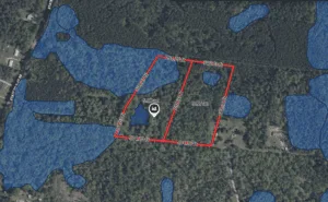 11.99 Acres | 2-Lot Combo Land for Sale in Pineland, SC