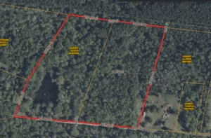 11.99 Acres | 2-Lot Combo Land for Sale in Pineland, SC