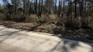 Land for Sale in Yemassee SC | 0.77 Acre Buildable Lot in Jasper County