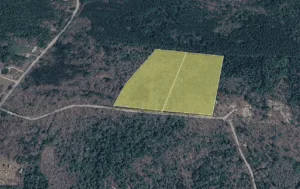 11.99 Acres | 2-Lot Combo Land for Sale in Pineland, SC
