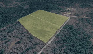 11.99 Acres | 2-Lot Combo Land for Sale in Pineland, SC
