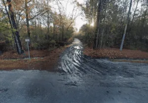 11.99 Acres | 2-Lot Combo Land for Sale in Pineland, SC
