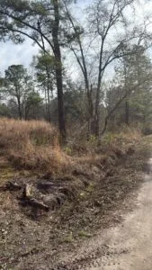 11.99 Acres | 2-Lot Combo Land for Sale in Pineland, SC
