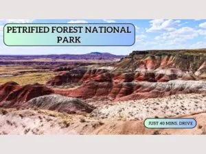 Grab 2.5 Adjacent Acres – Arizona Land for $149 Down