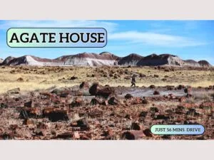 Grab 2.5 Adjacent Acres – Arizona Land for $149 Down