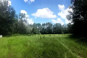 EXCLUSIVE PRIVATE 80-ACRE LEGACY ESTATE SITE 6 MINUTES TO EVERY CONVENIENCE NEXT TO PRESERVE