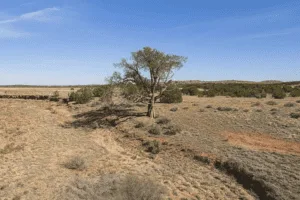 🌄 Leave the Grid Behind – Arizona Desert Land Opportunity