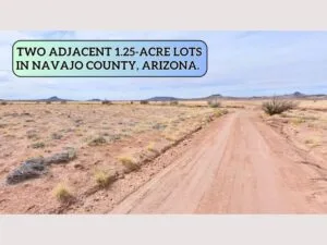 Grab 2.5 Adjacent Acres – Arizona Land for $149 Down
