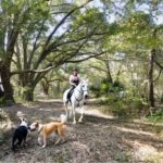 greteltake@yahoo.com