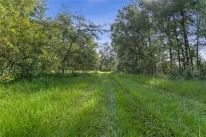 EXCLUSIVE PRIVATE 80-ACRE LEGACY ESTATE SITE 6 MINUTES TO EVERY CONVENIENCE NEXT TO PRESERVE