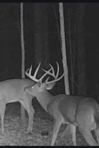 173± Acres of Premier Tennessee Countryside – Private, Productive, and Picturesque
