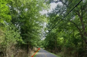 Vacant Land for Sale in Cordova, AL – 2.5 Acres on Gardners Gin Rd