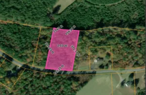 Beautiful 2 Acre Land in Freeman, Brunswick County VA