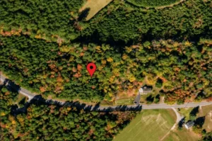 Beautiful 2 Acre Land in Freeman, Brunswick County VA
