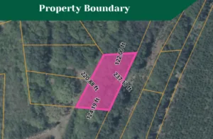 Own 0.64 Acres for Just $8,000!
