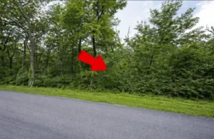 Your Peaceful Escape – 0.65 Acre Land in Winchester, VA