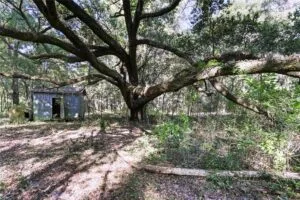 EXCLUSIVE PRIVATE 80-ACRE LEGACY ESTATE SITE 6 MINUTES TO EVERY CONVENIENCE NEXT TO PRESERVE