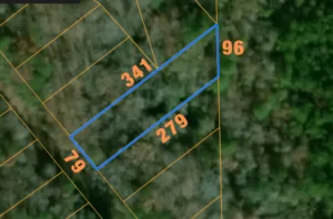 Prime 0.55-Acre Lot in Dadeville, AL