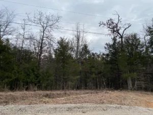 7 Acres of Beautiful, Wooded Land, Baxter County, Arkansas.