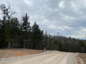 7 Acres of Beautiful, Wooded Land, Baxter County, Arkansas.