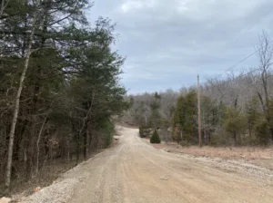 7 Acres of Beautiful, Wooded Land, Baxter County, Arkansas.