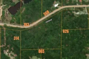 7 Acres of Beautiful, Wooded Land, Baxter County, Arkansas.