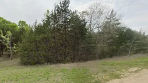 Buildable 0.24-Acre Lot in Coldspring, TX