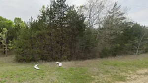 Buildable 0.24-Acre Lot in Coldspring, TX