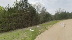 Buildable 0.24-Acre Lot in Coldspring, TX