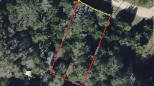 Buildable 0.24-Acre Lot in Coldspring, TX