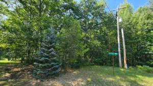 Northern Michigan Hideaway – .7 acre vacant lot with utilities