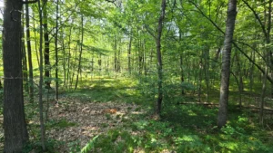 Northern Michigan Hideaway – .7 acre vacant lot with utilities