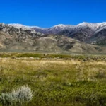 Land Agency