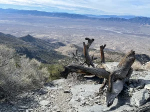 60 Acres Off-Grid Mountain Land – 8,000 ft Peak