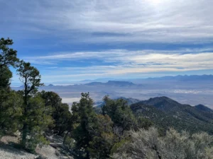 60 Acres Off-Grid Mountain Land – 8,000 ft Peak