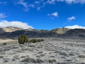 40 Acres Off-Grid Nevada Land – 2 Build Pads – Borders BLM