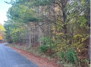 Small piece of lot in Walker county AL 0.5 acres – Owner Financing is available
