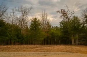 Build-Ready Arkansas ,Quiet Setting, Easy Terms Available
