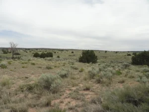 OFF GRID, HORSE PROPERTY, CHEAP
