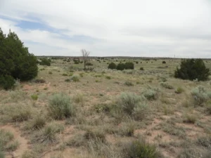 OFF GRID, HORSE PROPERTY, CHEAP